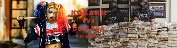 гашик Балахна