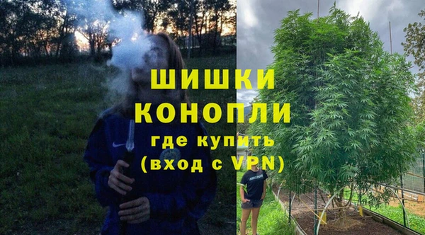 гашик Балахна