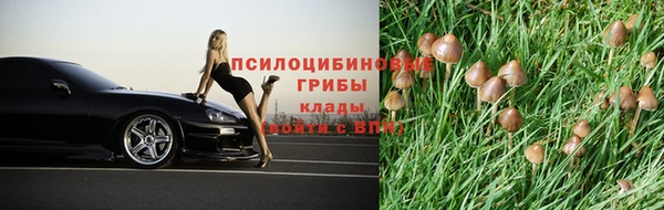гашик Балахна